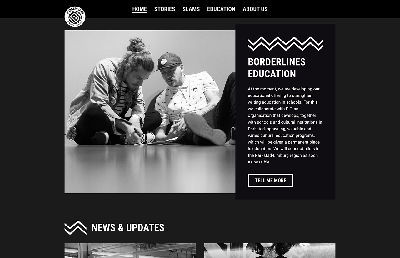 Op de strakke zwart-witte website werken twee individuen samen, aangevuld met een zijbalk gewijd aan Borderlines Education en onderstaande nieuwsupdates.
