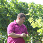 Een persoon in een roze shirt inspecteert op een zonnige dag groene bladeren in een weelderige wijngaard op Landgoed Overst.